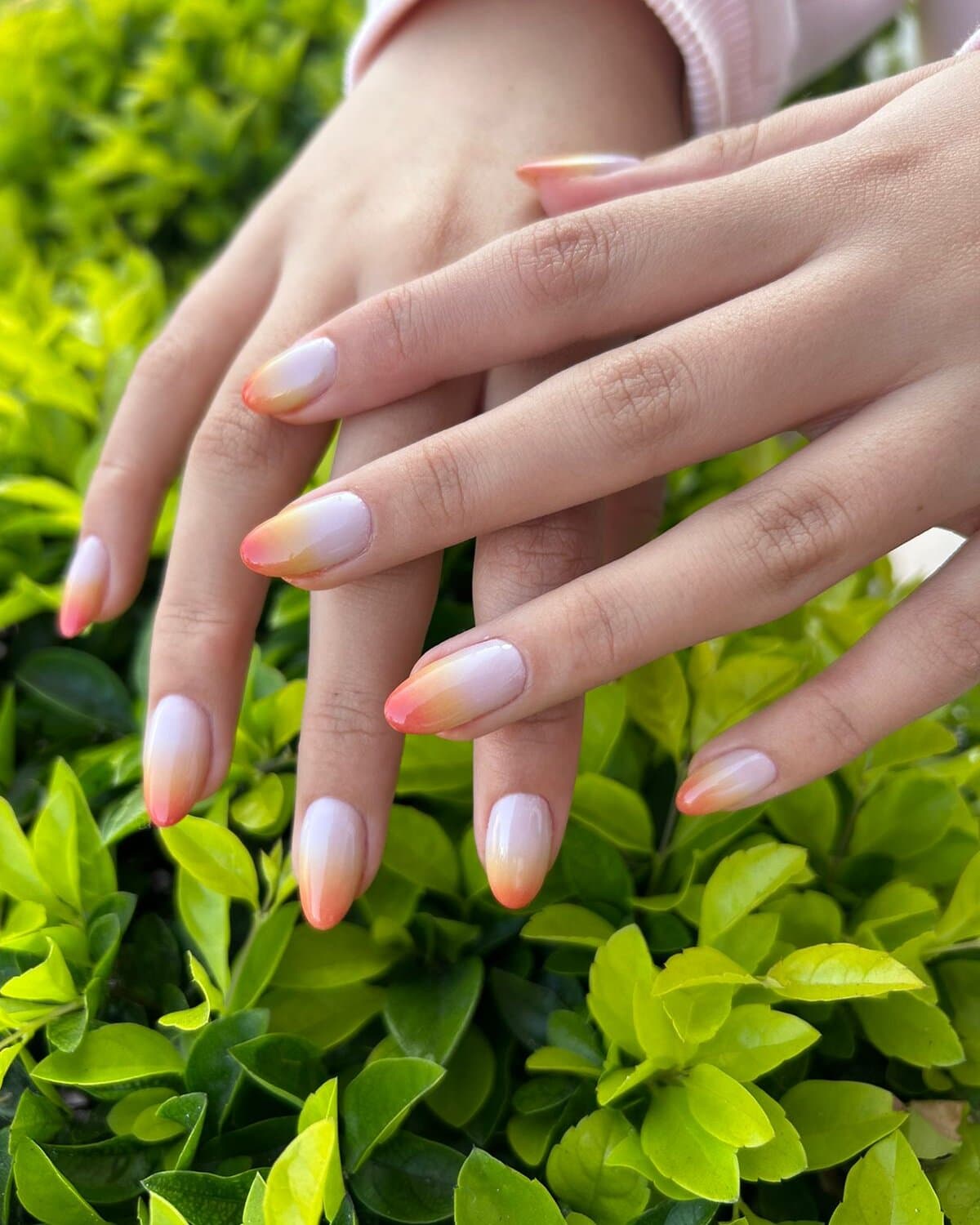 Almond nails with a gradient from milky white to yellow and coral at the tips